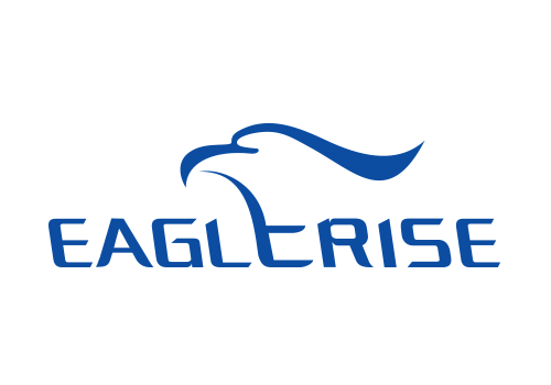 eaglerise-logo1
